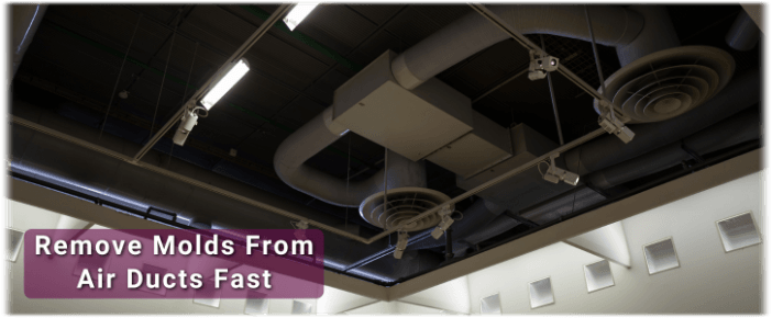 Air Duct Mold Removal in Leesburg VA
