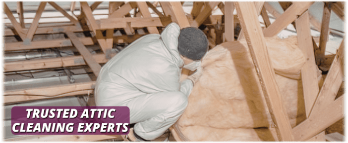 Attic Cleaning Leesburg VA