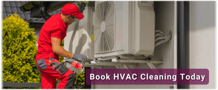 HVAC Mold Removal Leesburg VA